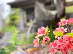 和神社の自然