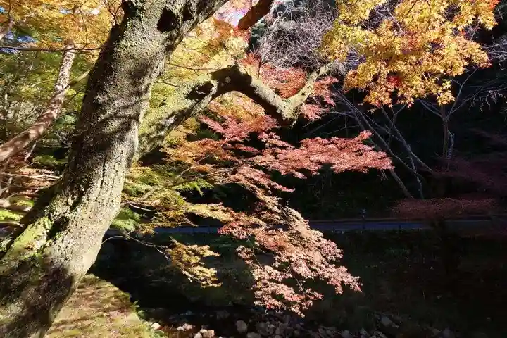 大寧寺(山口県)