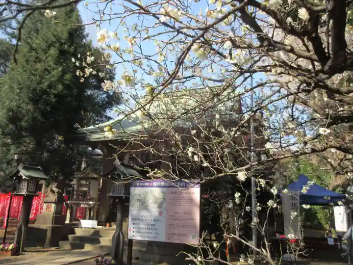 上目黒氷川神社(東京都)