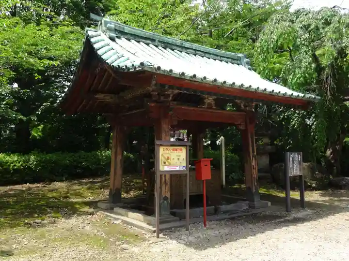 増上寺の手水舎