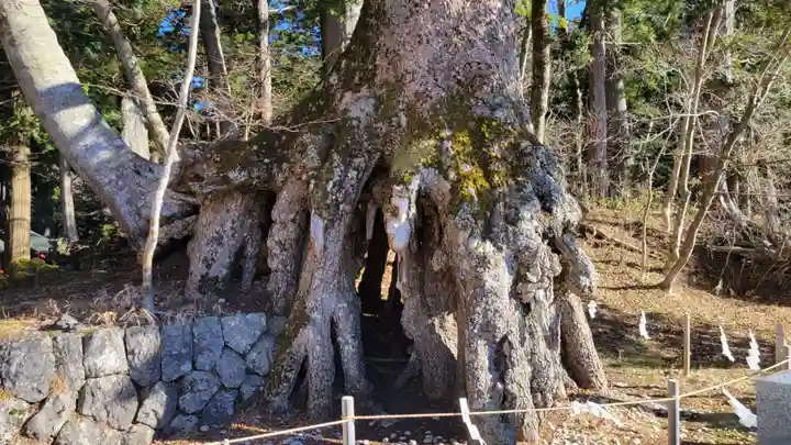 富士山東口本宮 冨士浅間神社のその他建物