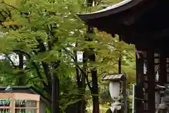 金峯神社(新潟県)