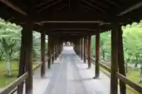 東福禅寺(東福寺)(京都府)