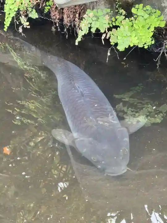 天祖諏訪神社(東京都)