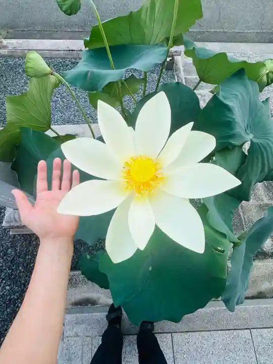 浄土寺(兵庫県)