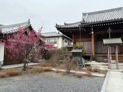 蓮花寺(大阪府)