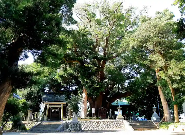 八幡神社のその他建物
