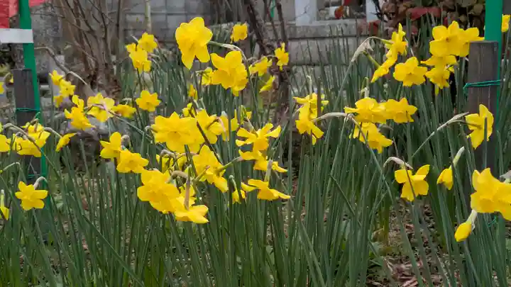 橋寺 放生院(京都府)