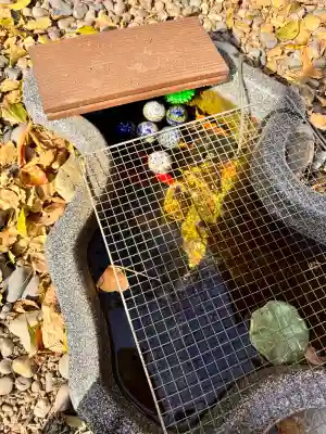 高知八幡宮の{uncategorized: "未分類", other: "その他", undefined: "問題あり", building: "その他建物", grave: "お墓", sacred_gate: "鳥居", guardian: "狛犬", statue: "像", buddha: "仏像", history: "歴史", nature: "自然", garden: "庭園", animal: "動物", pagoda: "塔", temizu: "手水舎", mountain_gate: "山門・神門", sanctuary: "本殿・本堂", subordinate: "末社・摂社", art: "芸術", scenery: "景色", jizo: "地蔵", ema: "絵馬", goshuin: "御朱印", omikuji: "おみくじ", items: "授与品その他", amulet: "お守り", goshuincho: "御朱印帳", eats: "食事", festival: "お祭り", votive_dance: "神楽", shichigosan: "七五三参", wedding: "結婚式", experience: "体験その他", initially: "初詣", around: "周辺", anti_infection: "感染症対策"}
