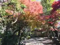 東運寺(東京都)