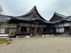 醍醐寺(京都府)