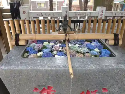 高円寺氷川神社の手水