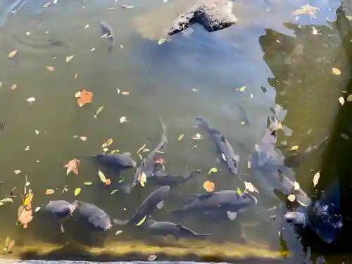 白蛇辨財天のその他建物