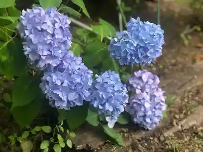 木舟山　順教寺(広島県)