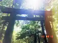 高良大社の鳥居