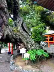 高塚熊野神社の庭園