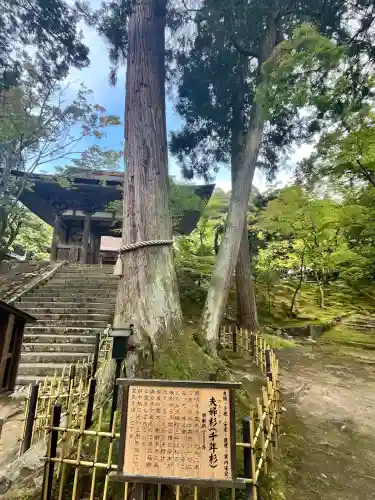 西明寺(滋賀県)