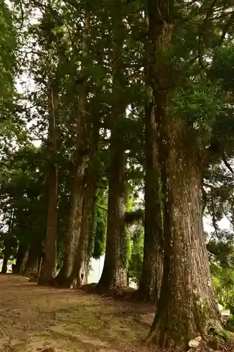 鉾神社(徳島県)