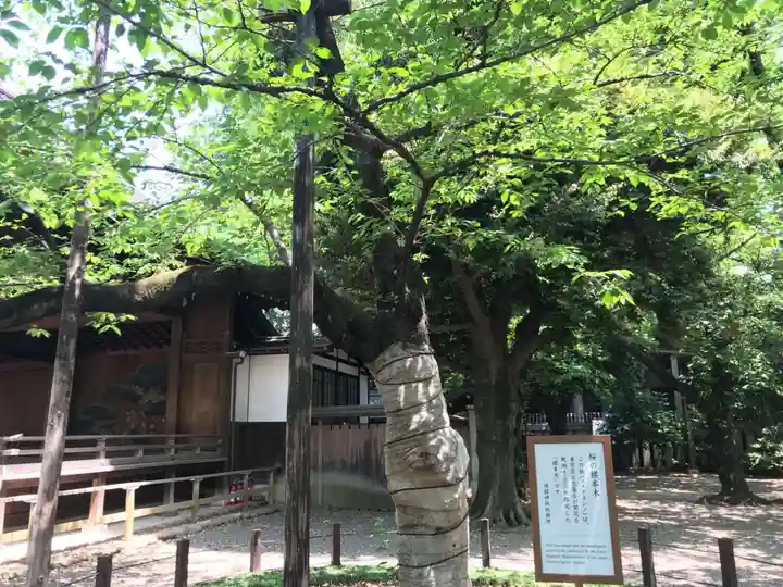 靖國神社の自然
