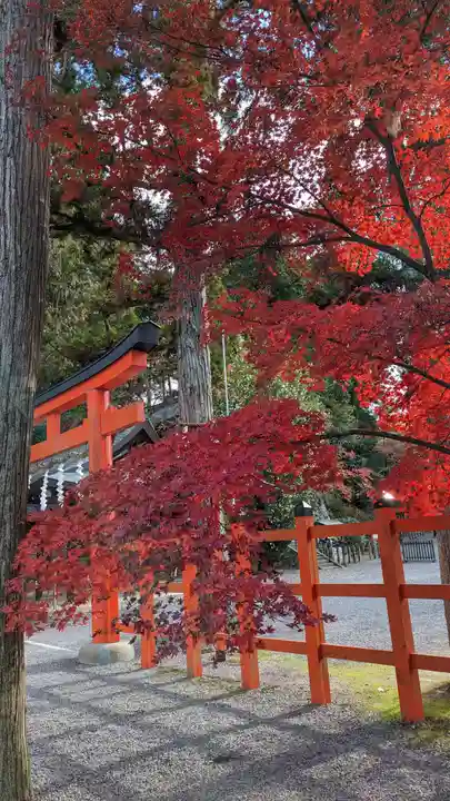 吉田神社(京都府)