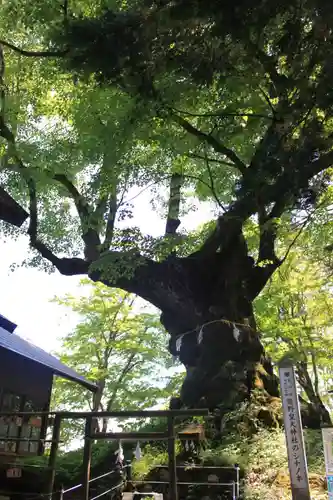 熊野皇大神社(長野県)
