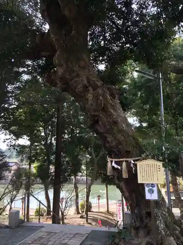 戸明神社(福岡県)