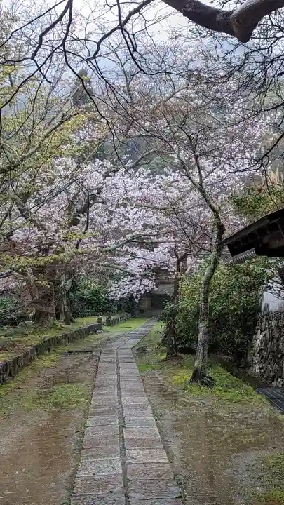 勝持寺(花の寺)(京都府)