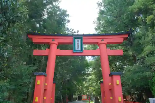 熊野速玉大社の鳥居