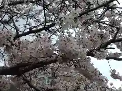 報国寺(神奈川県)