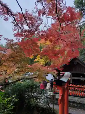 柳谷観音　楊谷寺のその他建物