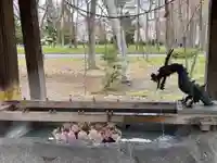 彌彦神社 (伊夜日子神社)の手水舎