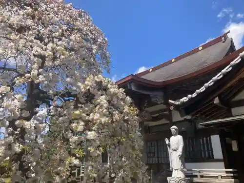 正福寺(神奈川県)