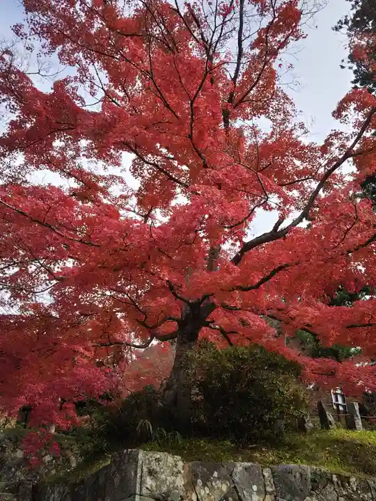 普門院(文知摺観音)(福島県)
