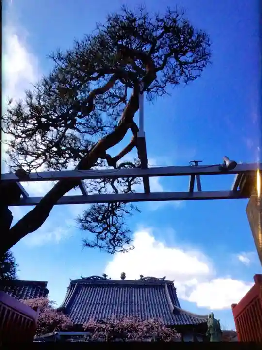 長善寺(東京都)