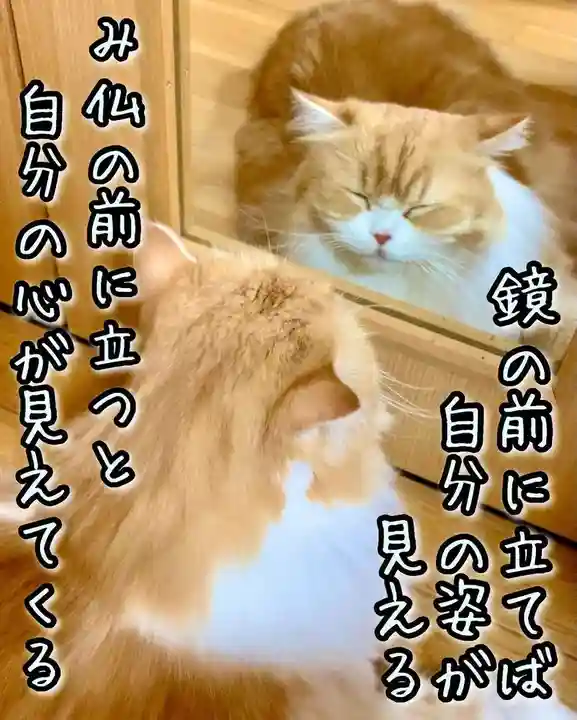 西教寺(下松駅徒歩5分)(山口県)