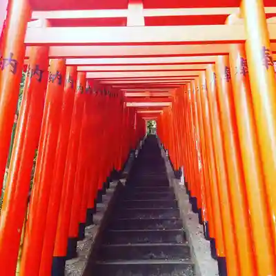 日枝神社の鳥居