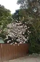 比佐豆知神社(三重県)