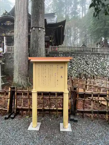 三峯神社(埼玉県)