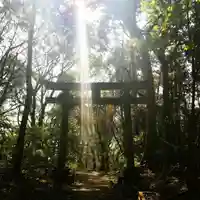 稲荷神社の鳥居