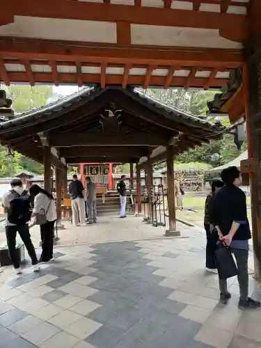 氷室神社の{uncategorized: "未分類", other: "その他", undefined: "問題あり", building: "その他建物", grave: "お墓", sacred_gate: "鳥居", guardian: "狛犬", statue: "像", buddha: "仏像", history: "歴史", nature: "自然", garden: "庭園", animal: "動物", pagoda: "塔", temizu: "手水舎", mountain_gate: "山門・神門", sanctuary: "本殿・本堂", subordinate: "末社・摂社", art: "芸術", scenery: "景色", jizo: "地蔵", ema: "絵馬", goshuin: "御朱印", omikuji: "おみくじ", items: "授与品その他", amulet: "お守り", goshuincho: "御朱印帳", eats: "食事", festival: "お祭り", votive_dance: "神楽", shichigosan: "七五三参", wedding: "結婚式", experience: "体験その他", initially: "初詣", around: "周辺", anti_infection: "感染症対策"}