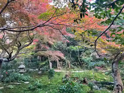 厭離庵(京都府)