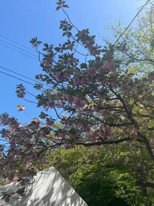 烏帽子山八幡宮(山形県)
