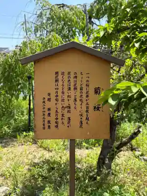 橋寺 放生院の{uncategorized: "未分類", other: "その他", undefined: "問題あり", building: "その他建物", grave: "お墓", sacred_gate: "鳥居", guardian: "狛犬", statue: "像", buddha: "仏像", history: "歴史", nature: "自然", garden: "庭園", animal: "動物", pagoda: "塔", temizu: "手水舎", mountain_gate: "山門・神門", sanctuary: "本殿・本堂", subordinate: "末社・摂社", art: "芸術", scenery: "景色", jizo: "地蔵", ema: "絵馬", goshuin: "御朱印", omikuji: "おみくじ", items: "授与品その他", amulet: "お守り", goshuincho: "御朱印帳", eats: "食事", festival: "お祭り", votive_dance: "神楽", shichigosan: "七五三参", wedding: "結婚式", experience: "体験その他", initially: "初詣", around: "周辺", anti_infection: "感染症対策"}