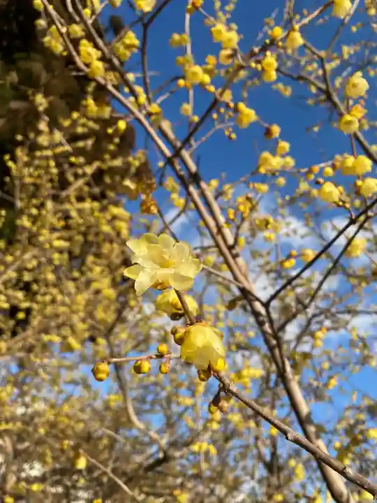 羽黒山神社の{uncategorized: "未分類", other: "その他", undefined: "問題あり", building: "その他建物", grave: "お墓", sacred_gate: "鳥居", guardian: "狛犬", statue: "像", buddha: "仏像", history: "歴史", nature: "自然", garden: "庭園", animal: "動物", pagoda: "塔", temizu: "手水舎", mountain_gate: "山門・神門", sanctuary: "本殿・本堂", subordinate: "末社・摂社", art: "芸術", scenery: "景色", jizo: "地蔵", ema: "絵馬", goshuin: "御朱印", omikuji: "おみくじ", items: "授与品その他", amulet: "お守り", goshuincho: "御朱印帳", eats: "食事", festival: "お祭り", votive_dance: "神楽", shichigosan: "七五三参", wedding: "結婚式", experience: "体験その他", initially: "初詣", around: "周辺", anti_infection: "感染症対策"}