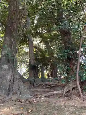 麻賀多神社(千葉県)