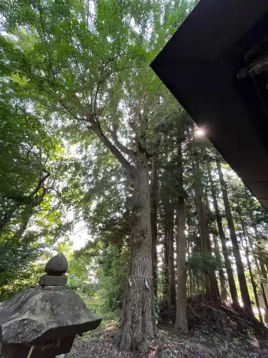 龍宝寺(福島県)