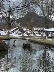 田出宇賀神社の周辺