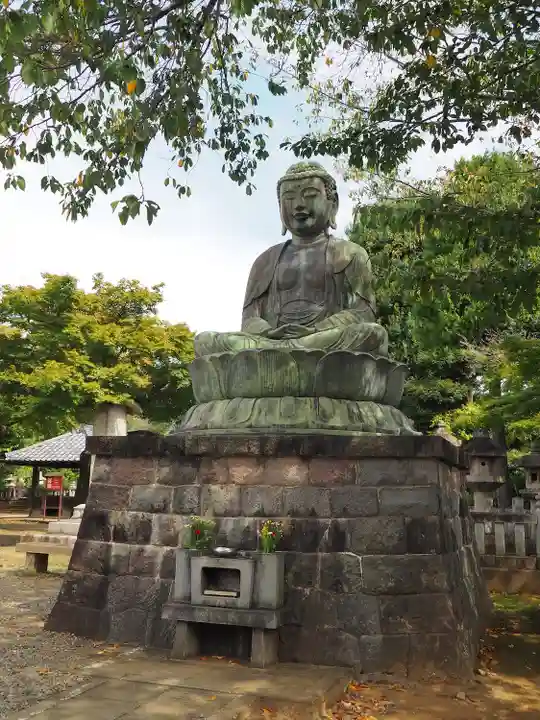 護国寺(東京都)