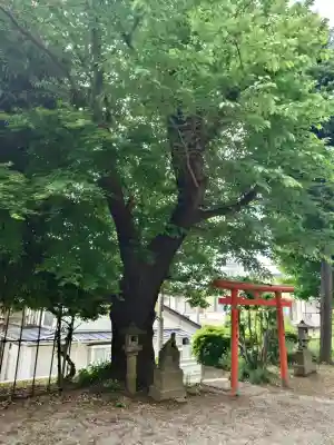 渋澤稲荷神社(神奈川県)