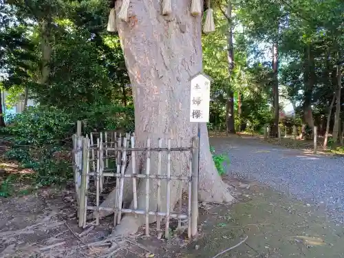 長宮氷川神社(埼玉県)